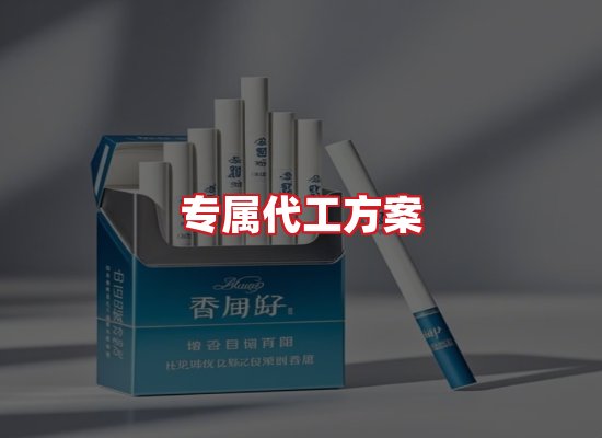 专业团队